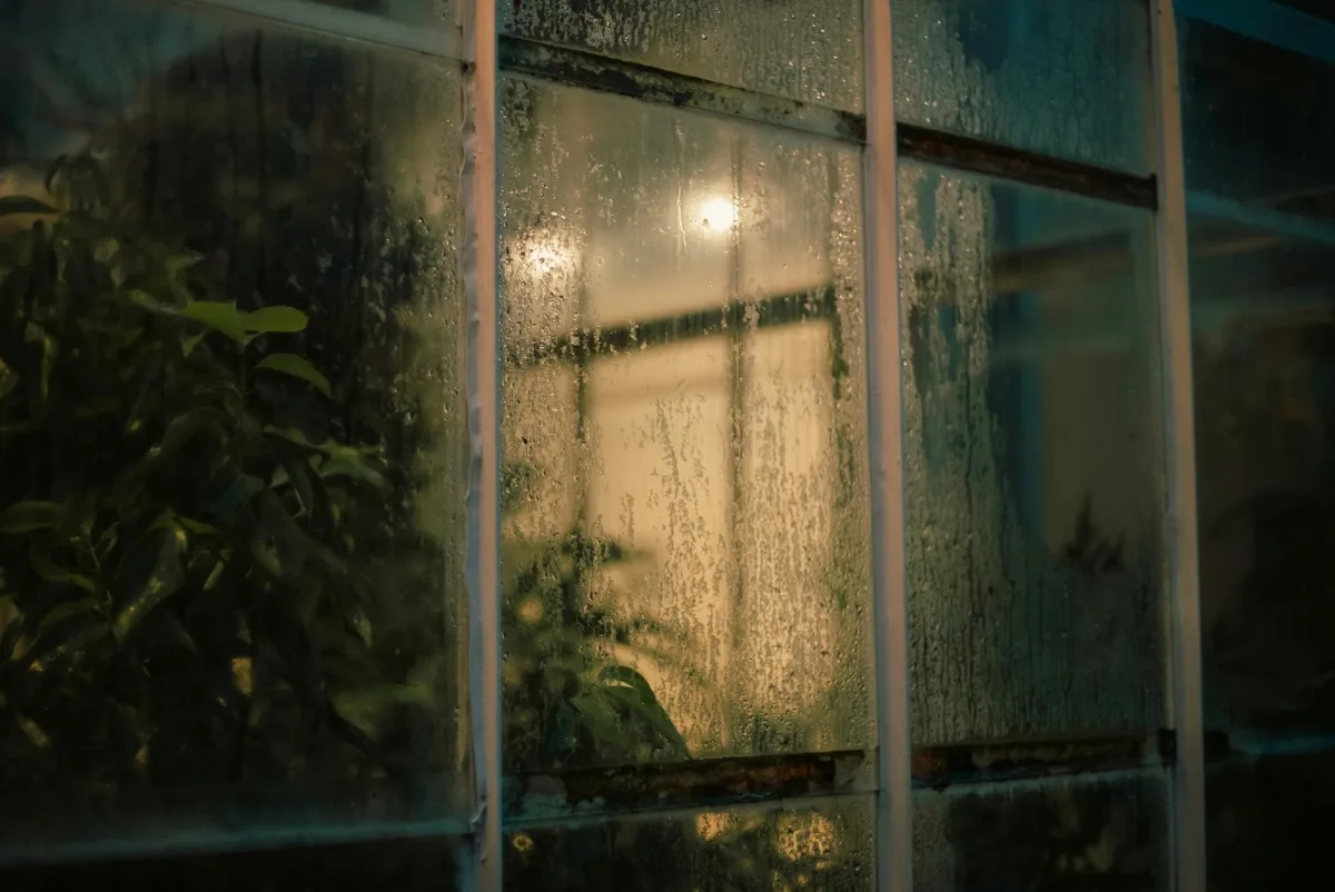 Condensation on a single-pane window, with a soft-focus winter exterior visible through the glass.